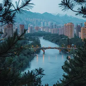 深圳桃子熊公司介绍